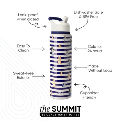 Summit Water Bottle with Straw Lid