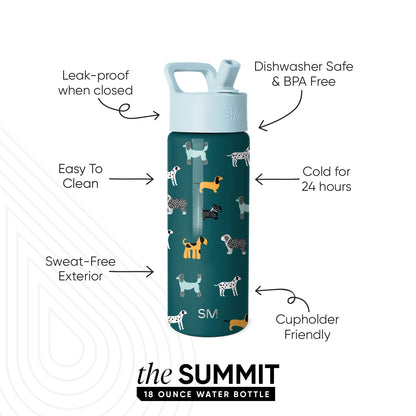 Summit Kids Water Bottle with Straw Lid